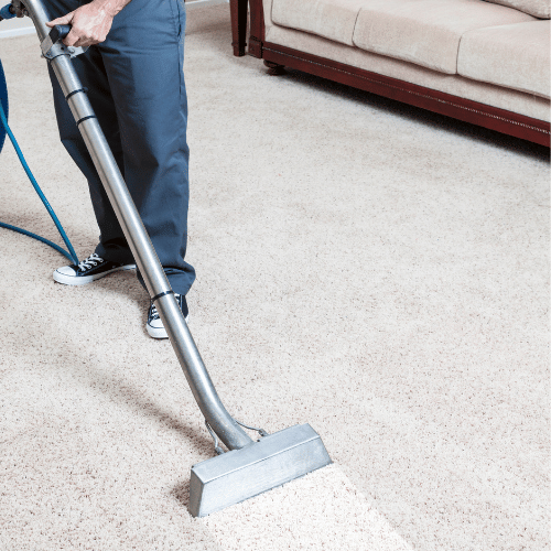 Carpet Cleaning Castle Rock Co Carpet Cleaning Example
